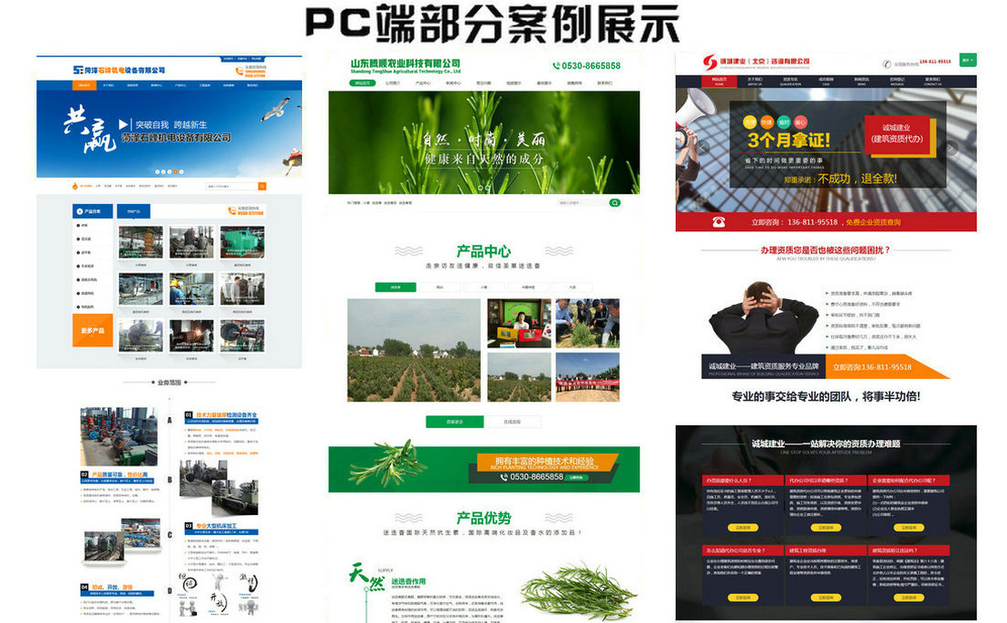 視頻演示